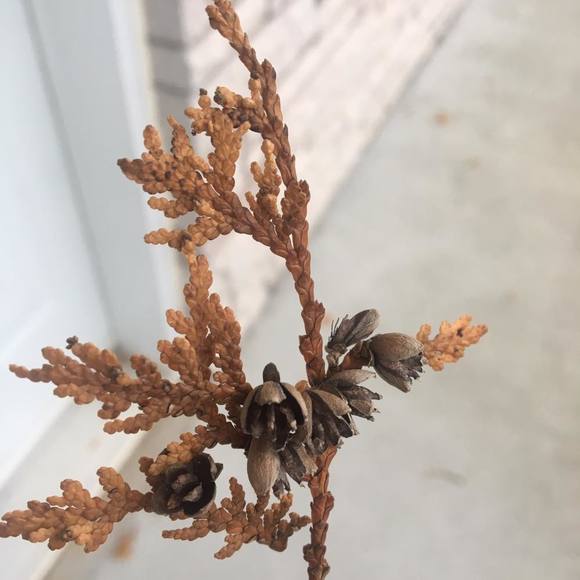 Meet your Posher, Anf ty - Picture 1 of 1